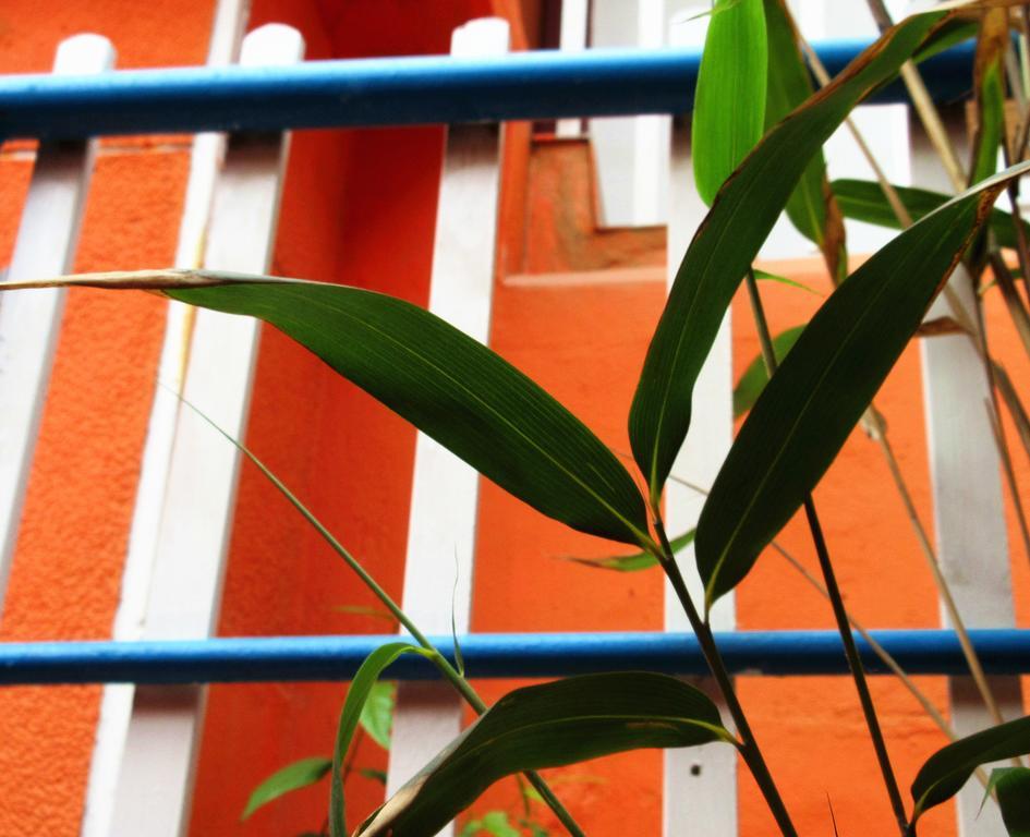 25°C Four Season Youth Hostel Qingdao Exterior foto